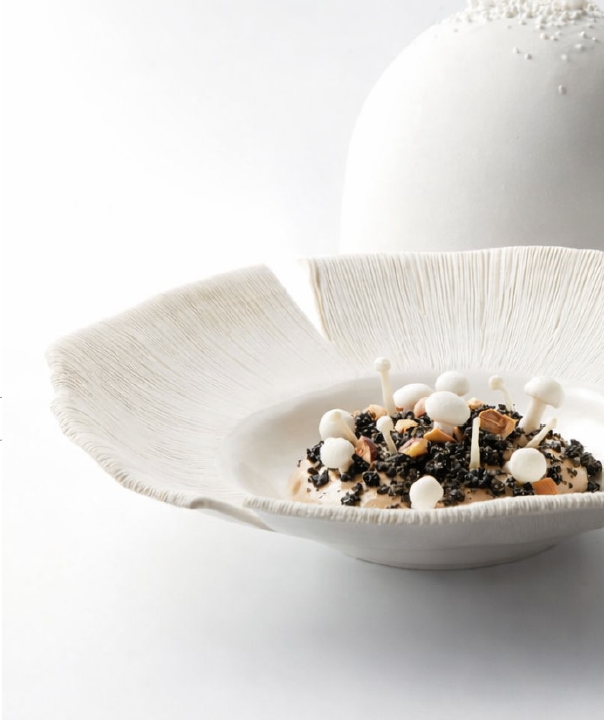 photo d'un plat base de champignon